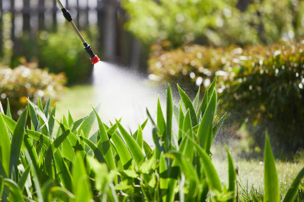 24/7 Emergency Ant Control experts in High Point, NC