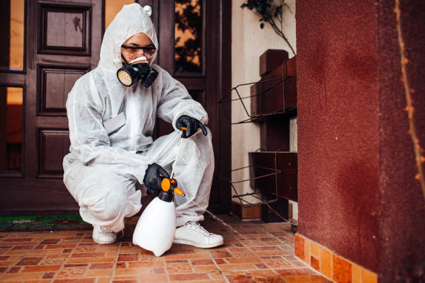 Reliable Ant Control contractor in High Point, NC by Show Me Pest Control
